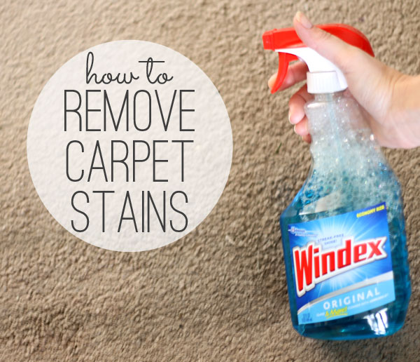 how to remove carpet stains (with something you already have!)