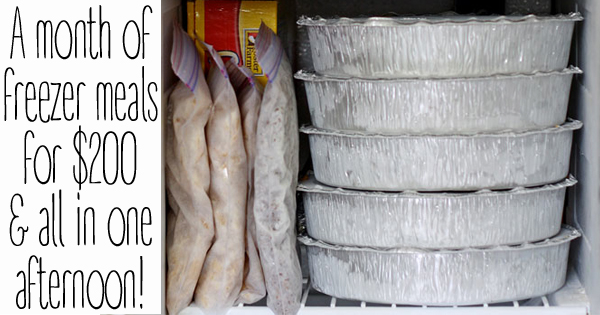 The Best Meal Prep (and freezer meal) Containers to buy! - Meal Plan Addict