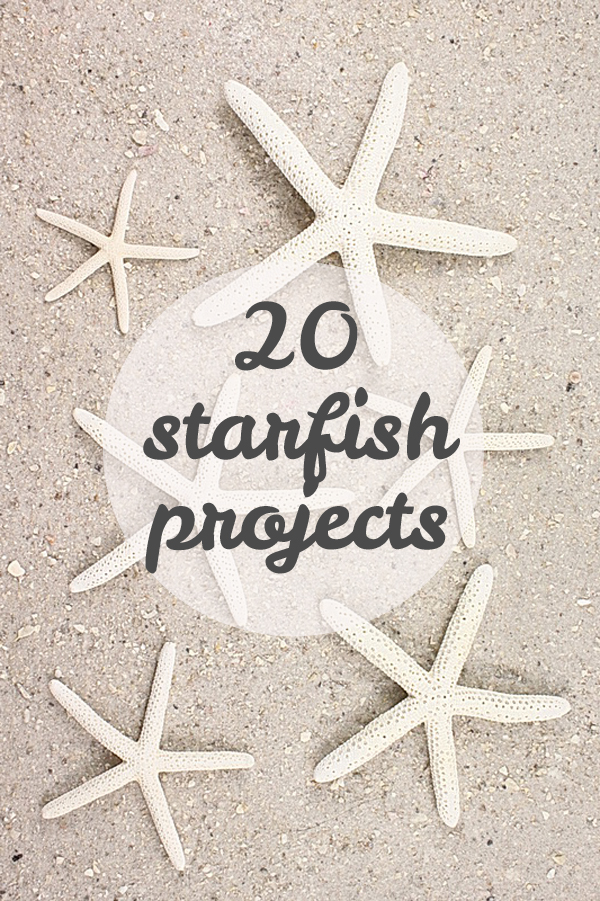 Starfish Craft Ideas